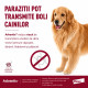 Advantix – Pipetă Repelentă pentru Câini 10–25 kg (Deparazitare Externă, Elanco)